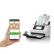 Epson WorkForce DS-800WN hálózati üzleti szkenner