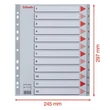 Regiszter, műanyag, A4 Maxi, 1-12, ESSELTE, szürke