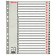 Regiszter, műanyag, A4 Maxi, 1-31, ESSELTE, szürke