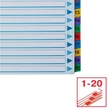 Regiszter, karton, A4, 1-20, ESSELTE 