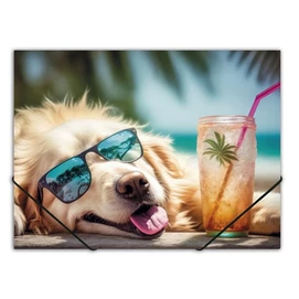 Gumis mappa, 15 mm, PP, A4, PANTA PLAST, &quot;Chillout dog&quot;