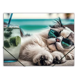 Gumis mappa, 15 mm, PP, A4, PANTA PLAST &quot;Chillout cat&quot;