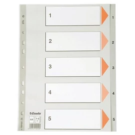 Regiszter, műanyag, A4, 1-5, ESSELTE, szürke