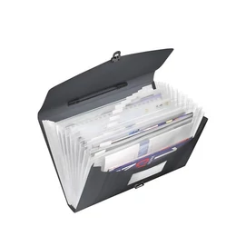 Harmonikatáska, A4, PP, 12 rekeszes, ESSELTE &quot;Vivida&quot;, fekete