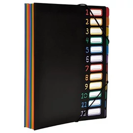 Irattartó mappa, gumis, 12 részes, VIQUEL &quot;Rainbow Class&quot;, fekete