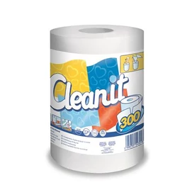 Törlőkendő, tekercses, univerzális, 2 rétegű, LUCART &quot;CLEANIT 300&quot;, fehér
