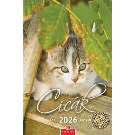 Naptár, fali, CSG, &quot;Cicák&quot;
