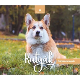 Naptár, asztali, álló, DAYLINER &quot;Kutyák&quot;