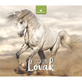 Naptár, asztali, álló, DAYLINER &quot;Lovak&quot;