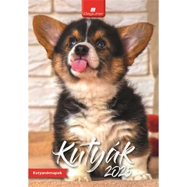 Naptár, fali, DAYLINER, &quot;Kutyák&quot;