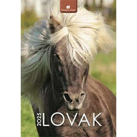 Naptár, fali, DAYLINER, &quot;Lovak&quot;