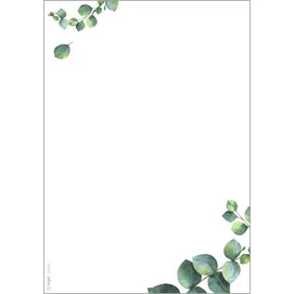 Előnyomott papír, kétoldalas, A5, 90 g. SIGEL &quot;Eucalyptus&quot;