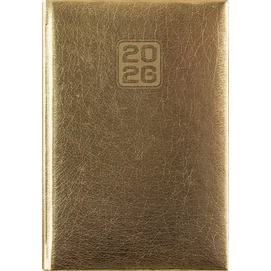 Naptár, tervező, A5, napi, DAYLINER, &quot;Mirror&quot;, arany
