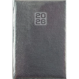 Naptár, tervező, A5, napi, DAYLINER, &quot;Mirror&quot;, ezüst