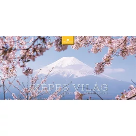 Naptár, asztali, álló, DAYLINER &quot;Képes világ&quot;