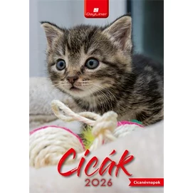 Naptár, fali, DAYLINER, &quot;Cicák&quot;