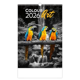Naptár, fali, DAYLINER "Colour Art"