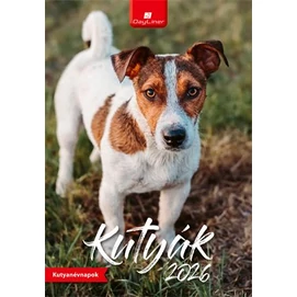 Naptár, fali, DAYLINER, &quot;Kutyák&quot;