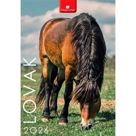 Naptár, fali, DAYLINER, &quot;Lovak&quot;