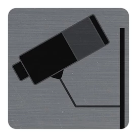 Információs tábla, öntapadó, 7,5x7,5 cm, alumíniumhatású, EXACOMPTA, "Kamerával megfigyelt terület"