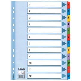 Regiszter, karton, A4, 1-12, ESSELTE &quot;Mylar&quot;