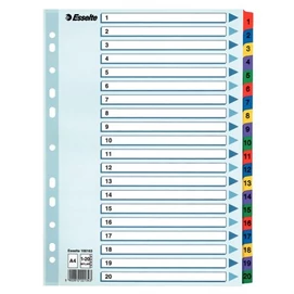 Regiszter, karton, A4, 1-20, ESSELTE &quot;Mylar&quot;
