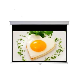MEDIUM Rollo vetítővászon 215x135 cm 100&quot; 16:10