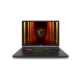 MSI Gaming NB Vector 17 HX AI A2WJG, 17&quot; QHD+ 240Hz, Ultra 9 275HX, 32GB, 1TB M.2, RTX 5090 24GB, WIN11H, Cosmos Gray