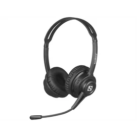 SANDBERG Headset mikrofonnal, Wireless Headset ANC+ENC