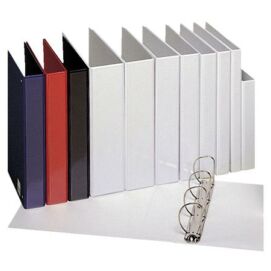 Gyűrűs könyv, panorámás, 4 gyűrű, 25 mm, A4, PP, ESSELTE, fehér