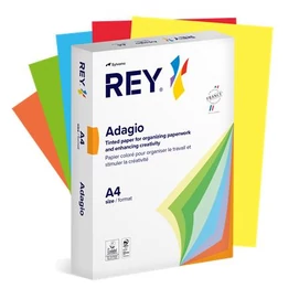 Másolópapír, színes, A4, 80 g, 5x100 lap, REY &quot;Adagio&quot;, intenzív mix