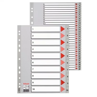 Regiszter, műanyag, A4, 1-10, ESSELTE,szürke