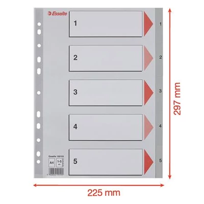 Regiszter, műanyag, A4, 1-5, ESSELTE, szürke