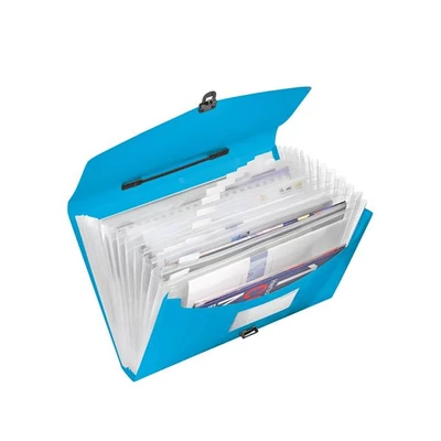 Harmonikatáska, A4, PP, 12 rekeszes, ESSELTE 
