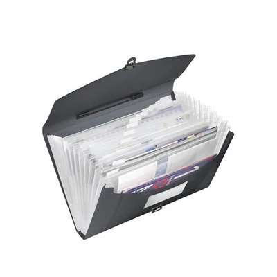 Harmonikatáska, A4, PP, 12 rekeszes, ESSELTE 