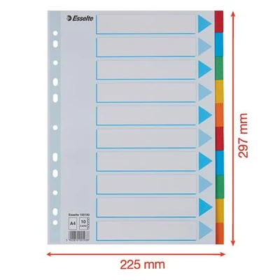 Regiszter, karton, A4, 10 részes, írható előlappal, ESSELTE 