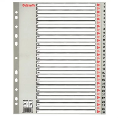 Regiszter, műanyag, A4 Maxi, 1-31, ESSELTE, szürke