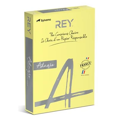 Másolópapír, színes, A4, 160 g, REY 