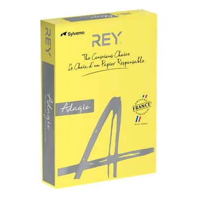 Másolópapír, színes, A4, 160 g, REY 