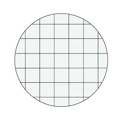 Beíró, A4, kockás, 80 lap, keményfedeles, LEITZ 