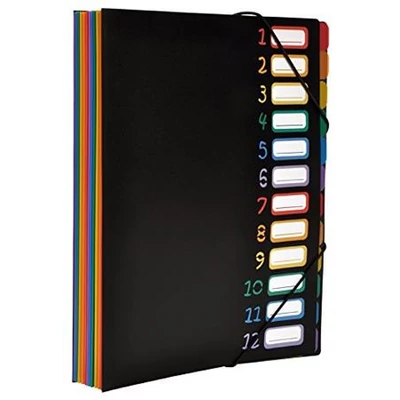 Irattartó mappa, gumis, 12 részes, VIQUEL 