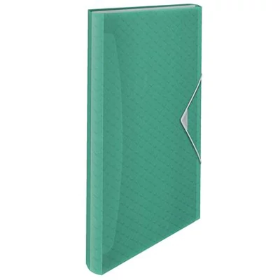 Harmonikamappa, A4, PP, 6 rekeszes, ESSELTE 