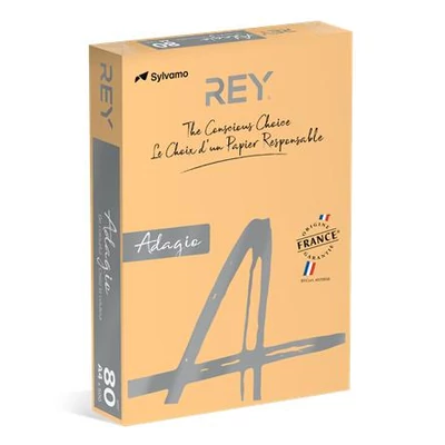 Másolópapír, színes, A4, 80 g, REY 