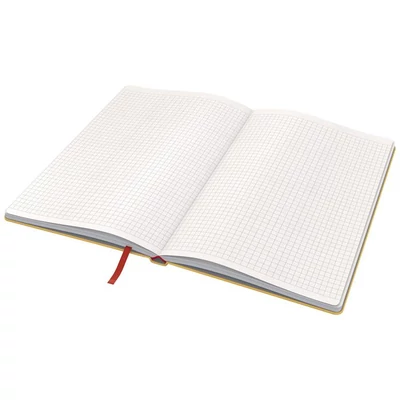 Beíró, A5, kockás, 80 lap, keményfedeles, LEITZ 