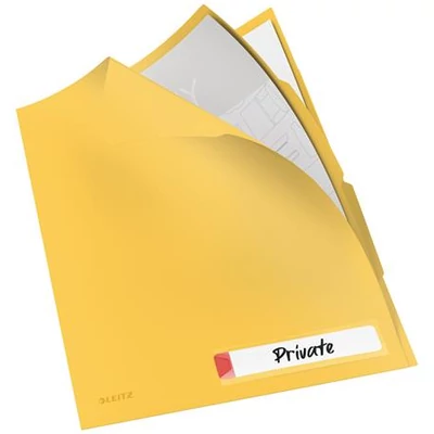Rendszerező genotherm, A4, PP, LEITZ 