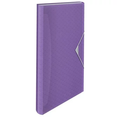 Harmonikamappa, A4, PP, 6 rekeszes, ESSELTE 