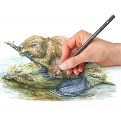 Színezett akvarell ceruza készlet, hatszögletű, STAEDTLER® 