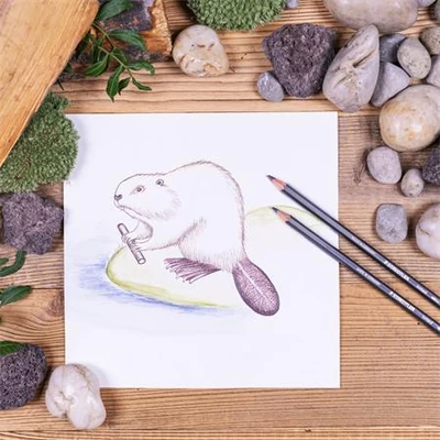 Színezett akvarell ceruza készlet, hatszögletű, STAEDTLER® 