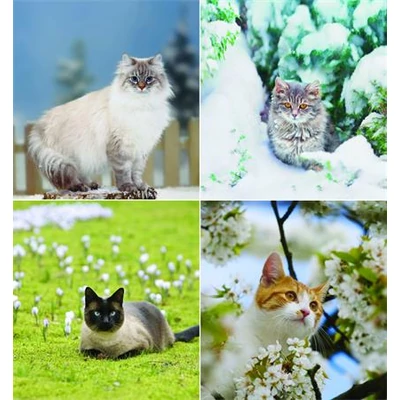 Naptár, fali, CSG, 