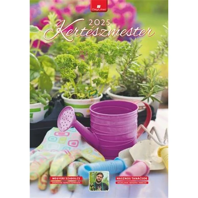 Naptár, fali, DAYLINER, 